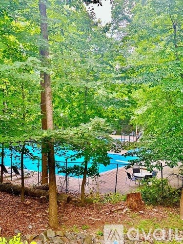 A pool surrounded by trees and a fence.
