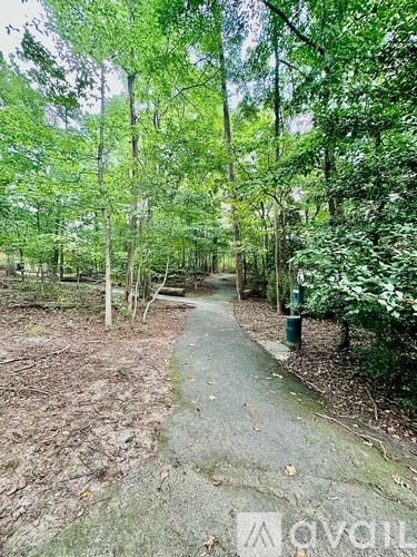 A forest path with a few trees and a trash can.