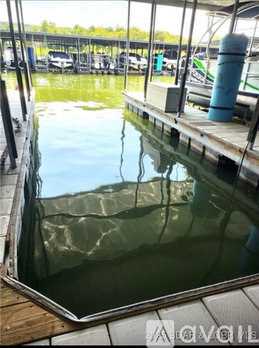 A fish tank with a view of the outside through the glass.