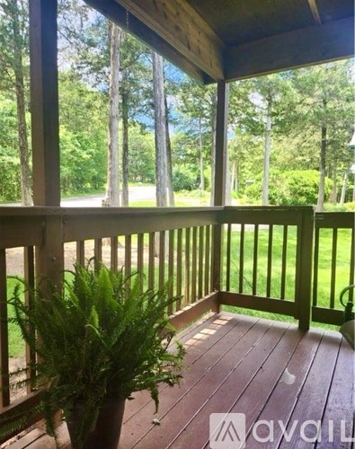 A wooden porch with a potted plant on it.