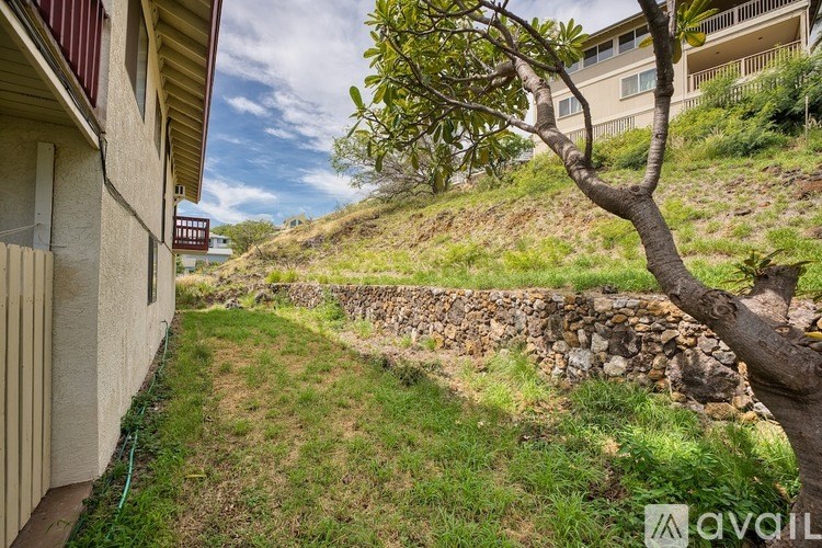 A tree in a yard with a stone wall and a building in the background.