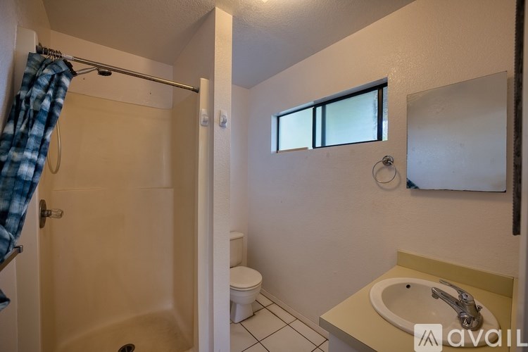 A bathroom with a toilet, sink, and shower.