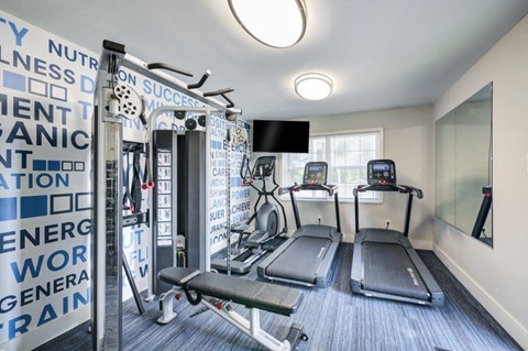 a gym with weights and cardio machines and a tv