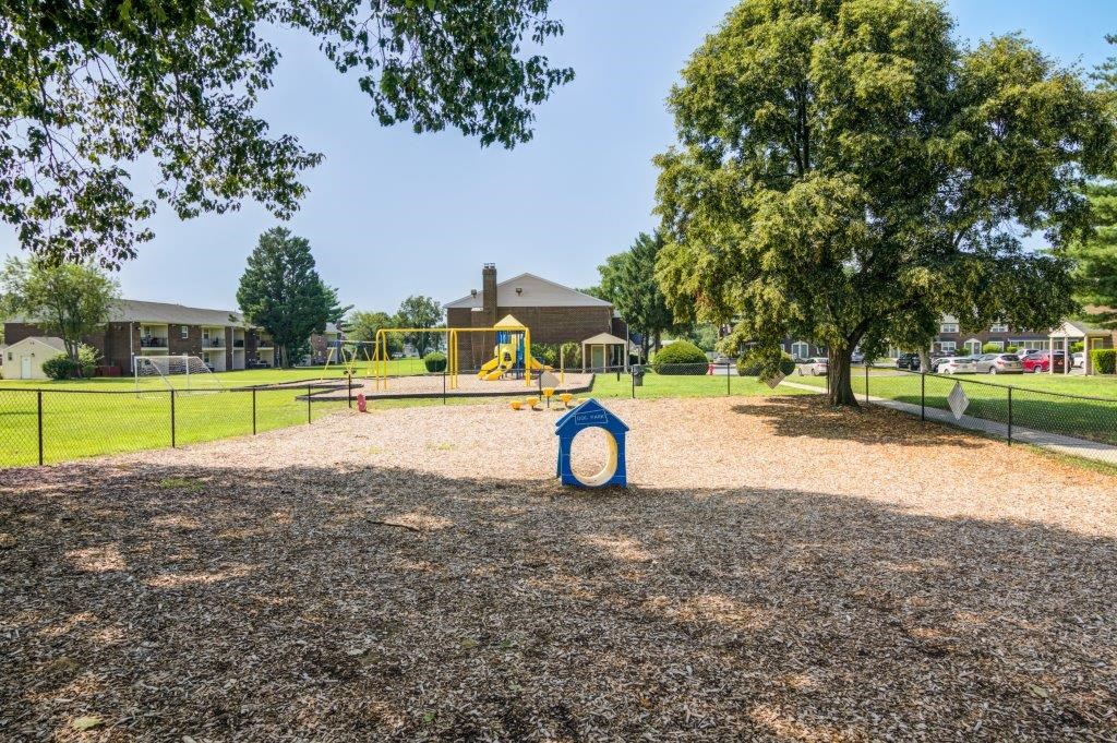 the preserve at ballantyne commons dog park