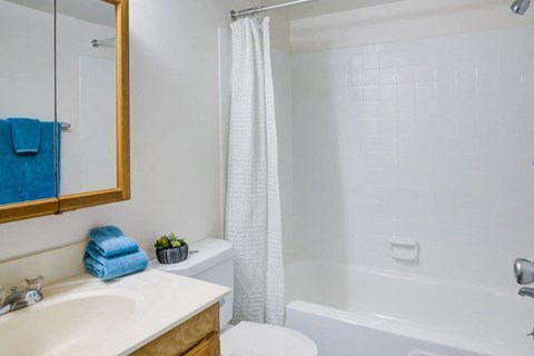 a bathroom with a shower sink and toilet and a mirror