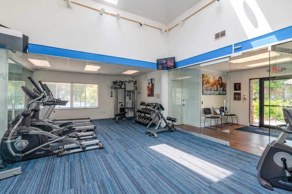 a gym with cardio machines and weights on a blue rug