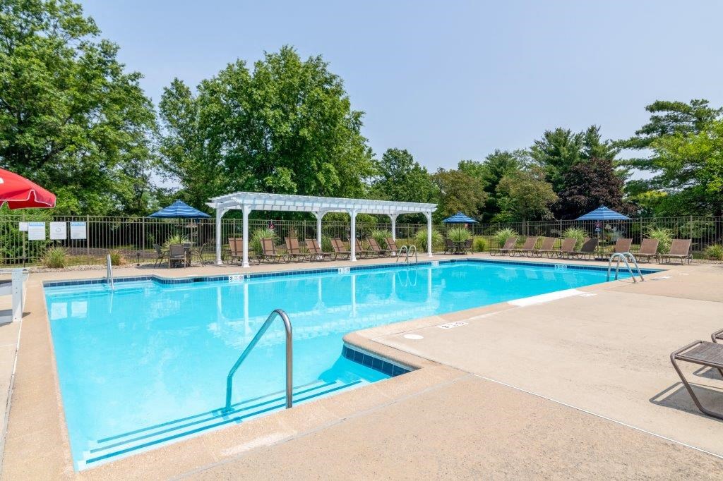 a swimming pool with chairs and umbrellas and trees