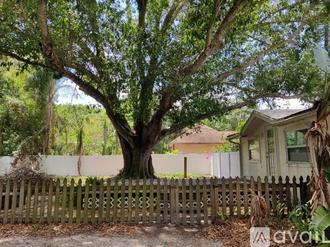 A large tree in front of a house with a wooden fence.