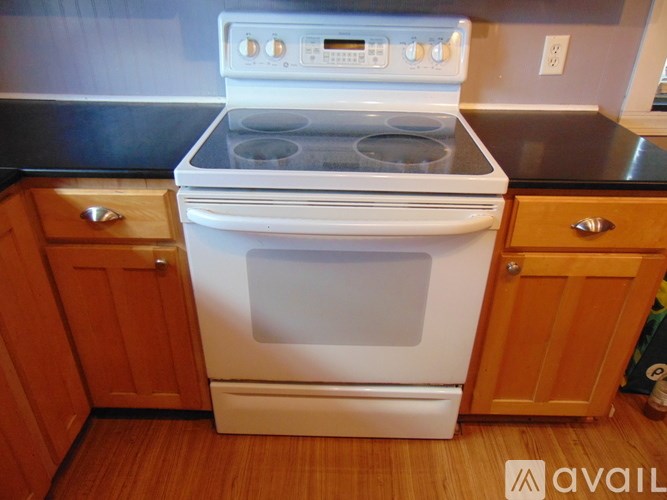 A white van is parked in a driveway next to a wooden fence.