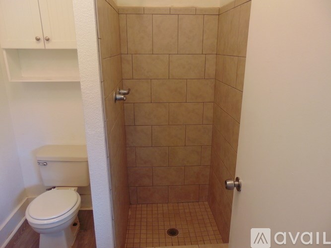 A bathroom with a toilet, a shower, and a cabinet.