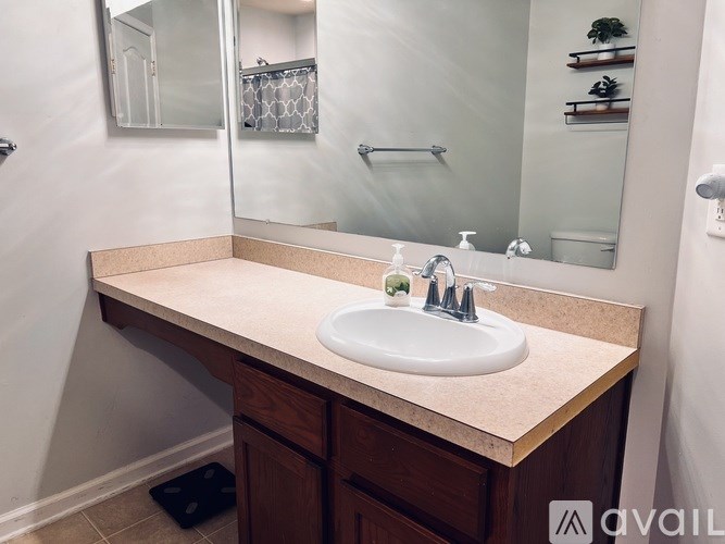 A bathroom with a sink, mirror, and a plant on the counter.