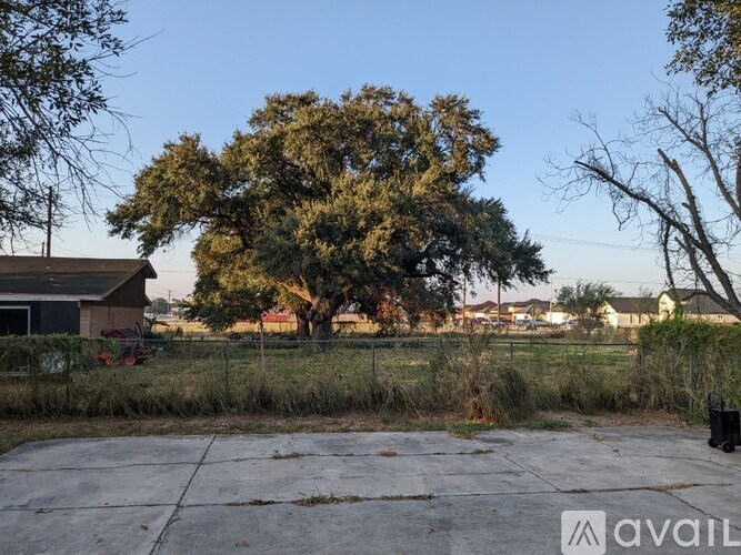 A large tree in the middle of a grassy area with a house in the background.