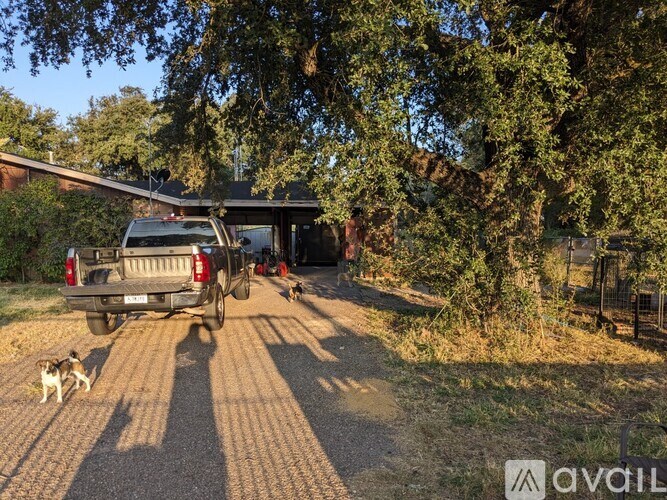 A truck is parked in front of a house with two dogs walking towards it.