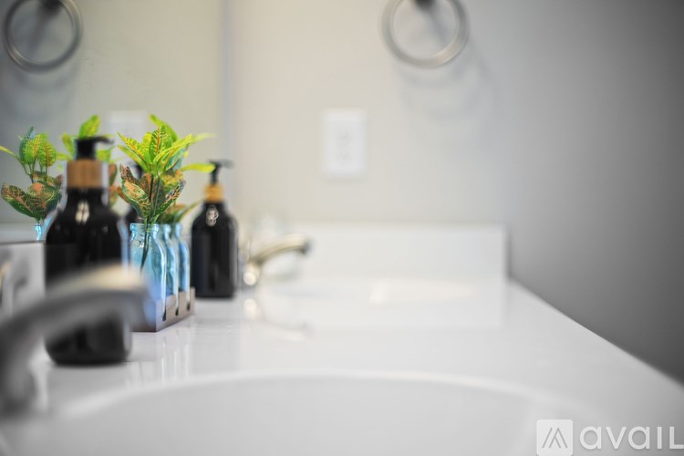 A white sink with a bottle of soap and a potted plant on it.