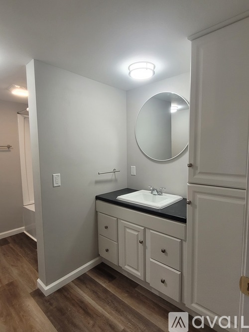 A bathroom with a sink, mirror, and wooden floors.