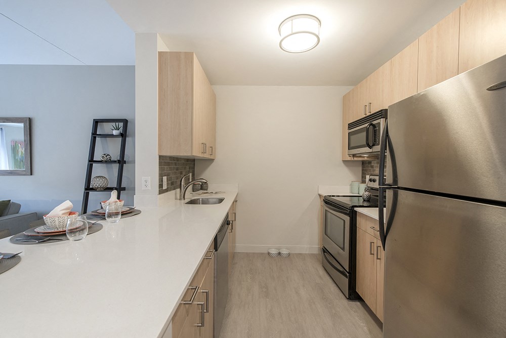a kitchen with stainless steel appliances and a quartz counter top