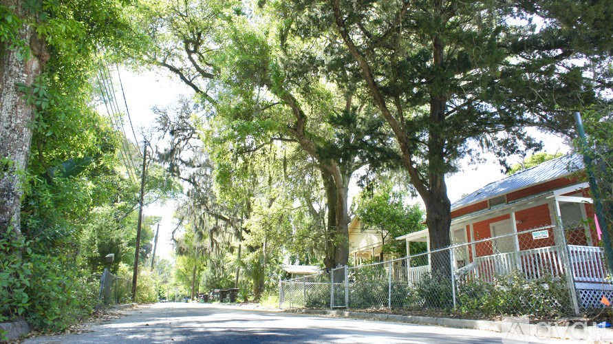 A tree-lined street with a red building in the background.