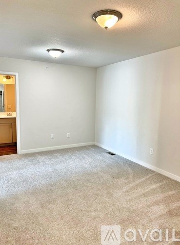 A carpeted room with a ceiling light and a wall socket.