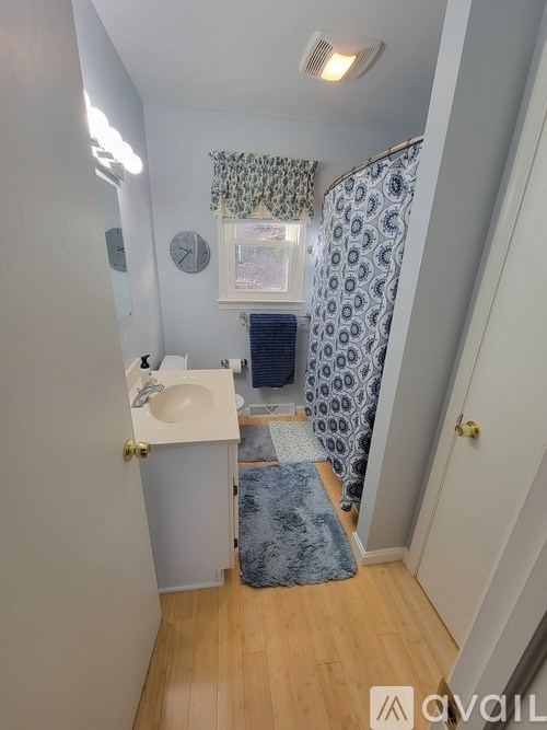 A small bathroom with a sink, mirror, and shower curtain.