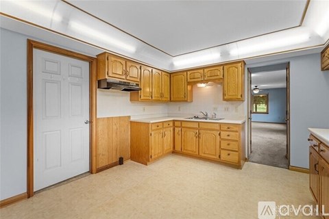A kitchen with wooden cabinets and a white door.