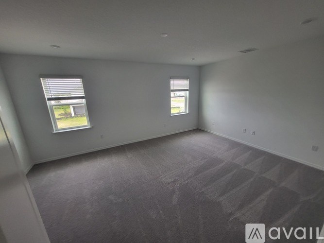 A spacious room with two windows and a carpeted floor.