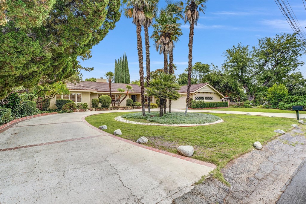 A house with a driveway and palm trees in front.