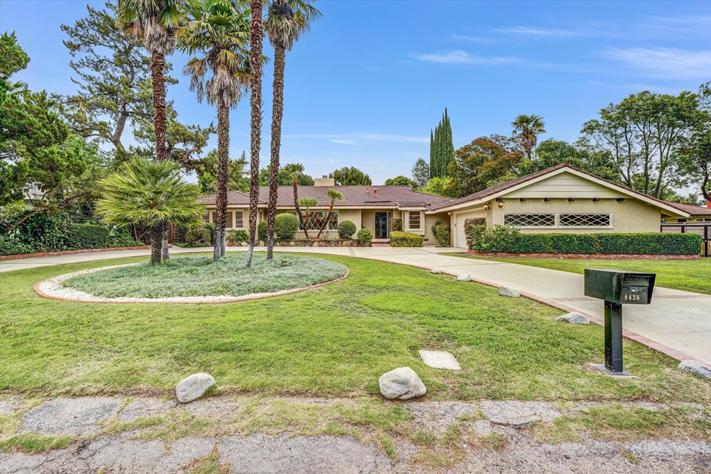 A house with a green lawn and palm trees in front.