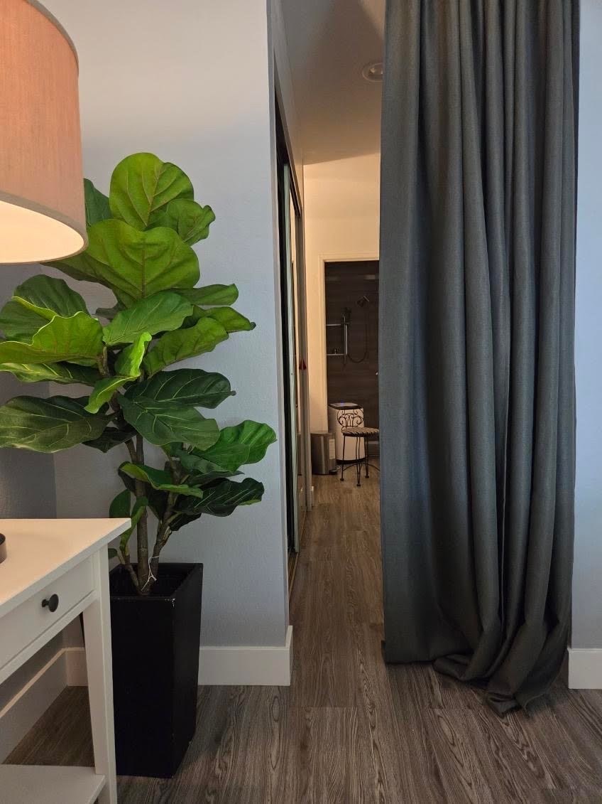 A large green leafy plant sits in a black planter next to a white desk.