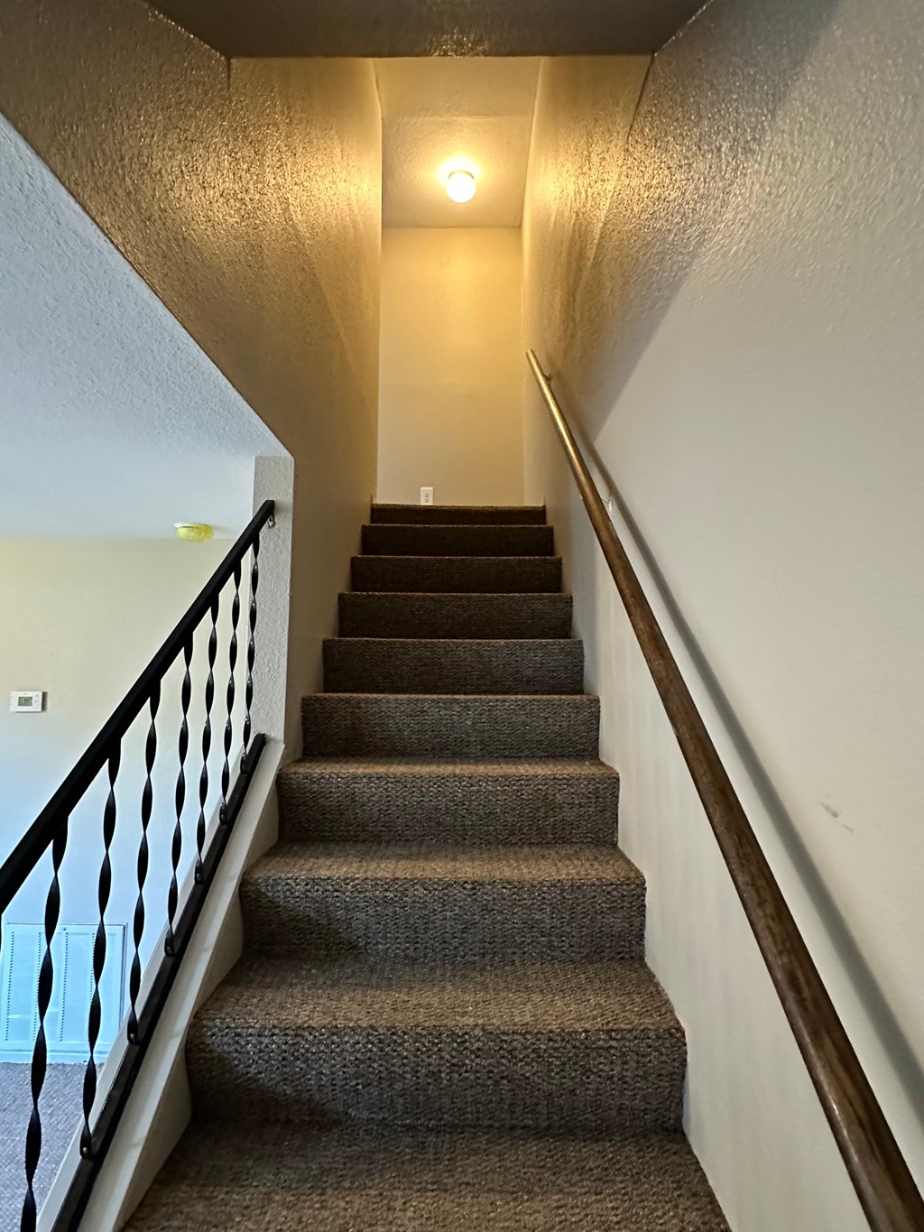 A staircase with a black railing and brown carpeted steps.