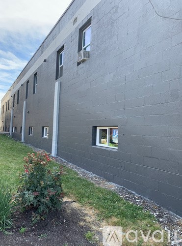 A grey building with a window and a plant in front.