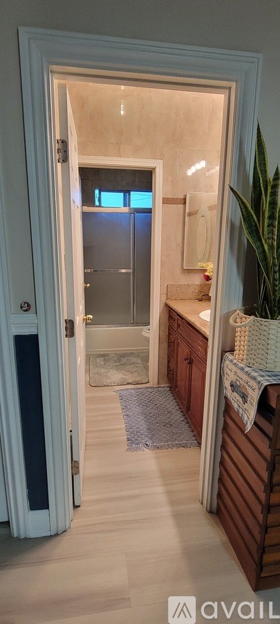 A bathroom with a walk-in shower and wooden floors.