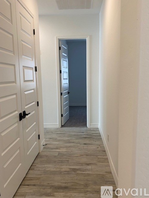 A hallway with a white door and a grey door at the end.