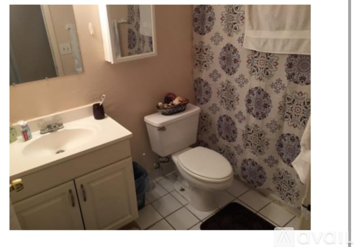 A bathroom with a toilet, sink, and shower curtain.