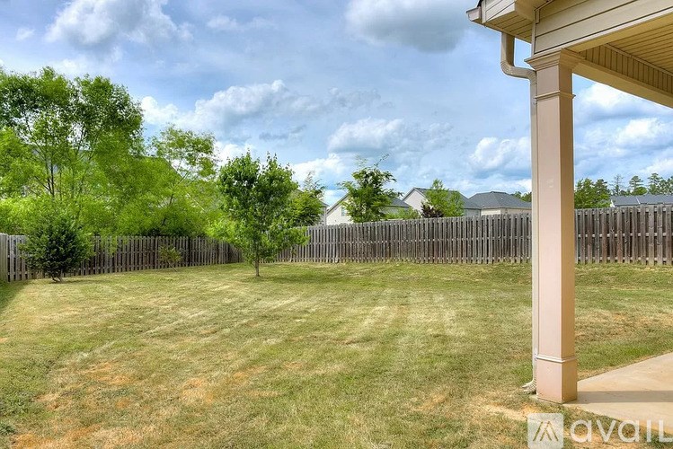 A backyard with a wooden fence and a single tree.