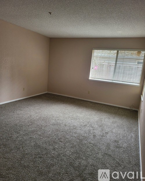 A room with a carpeted floor and a window with blinds.