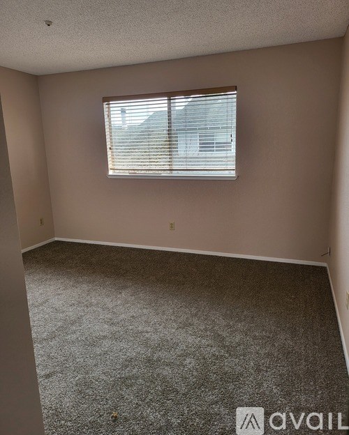 A room with a carpeted floor and a window with blinds.