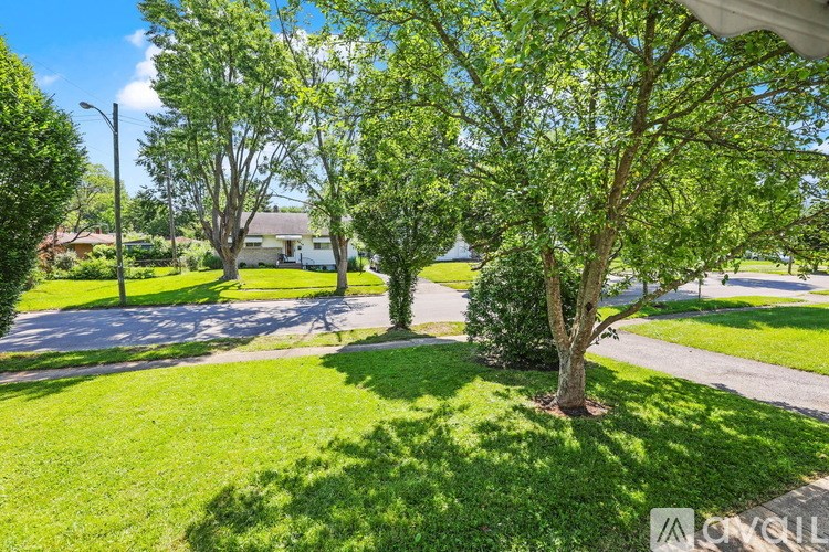 A tree in a grassy area with a house in the background.