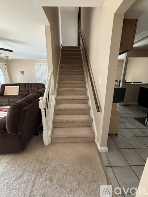 A staircase with a brown carpeted floor and white railings.
