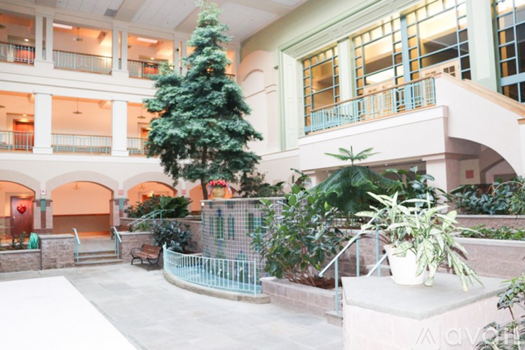 A large tree in a courtyard surrounded by plants.