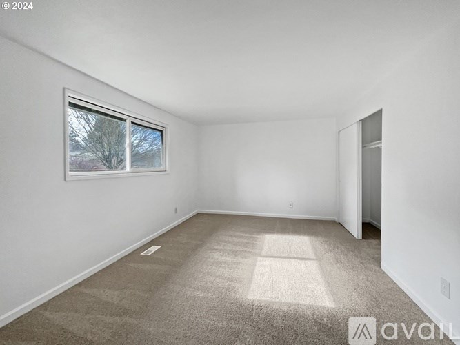 A room with a carpeted floor and a window showing a tree outside.