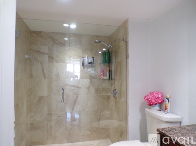 A bathroom with a walk-in shower and a toilet.