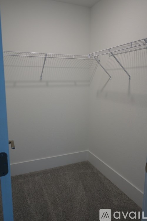 A walk-in closet with a carpeted floor and metal hangers.