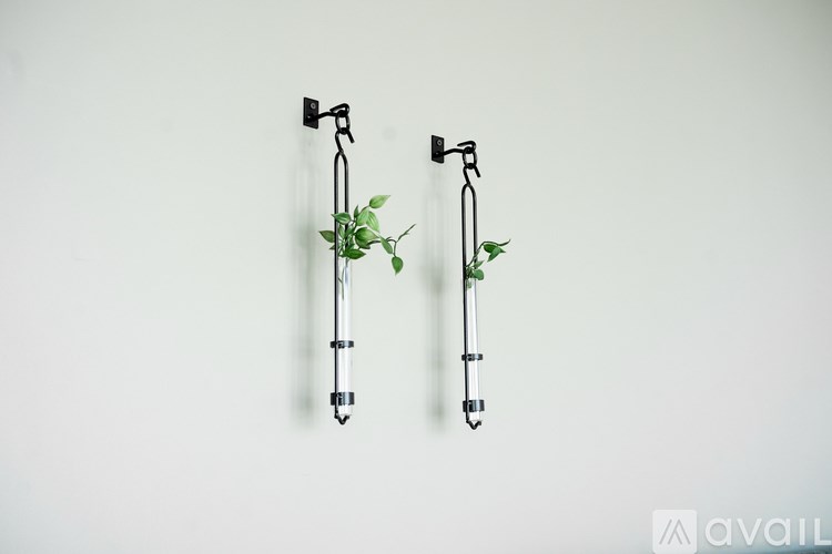 Two plants growing in metal holders on a wall.