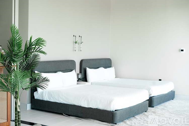 A bed with white bedding and a grey headboard is in a room with a plant to the left.