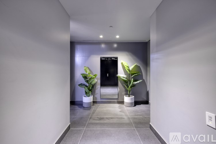 A hallway with two potted plants and a door.