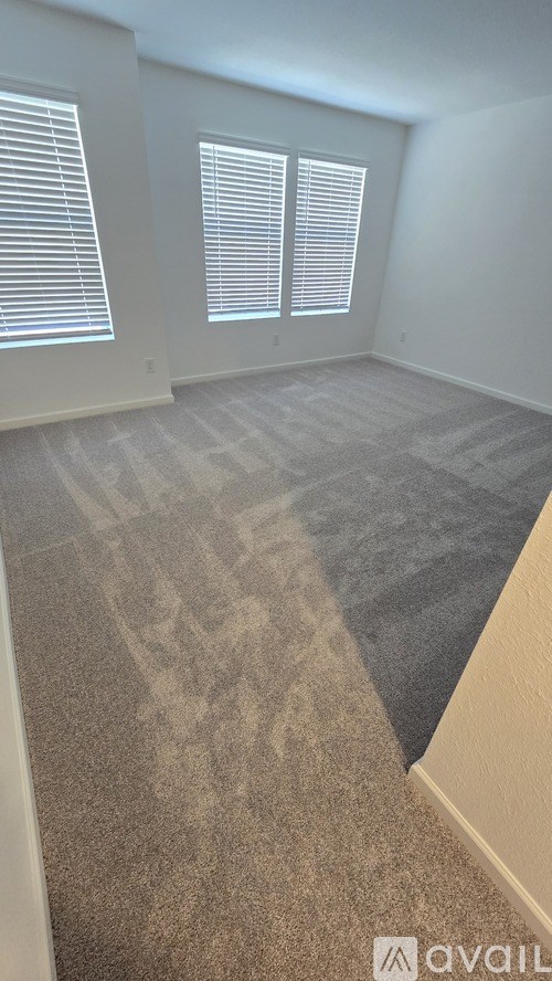 A room with carpeted floor and two windows with blinds.