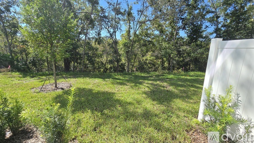 A tree in a field with a white panel on the right.