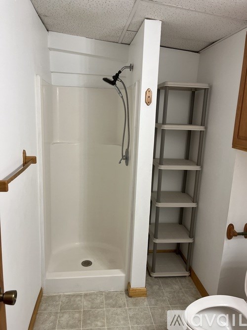 A white bathroom with a walk in shower and shelving.