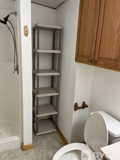 A white toilet is in a bathroom with a shelving unit next to it.