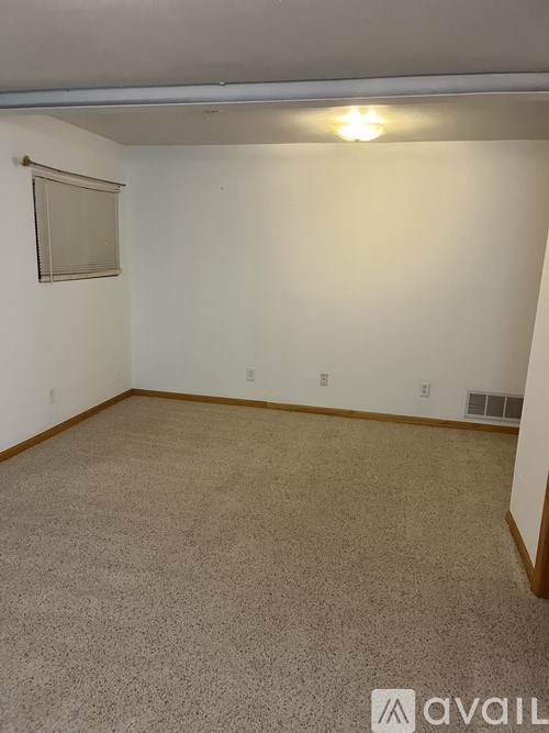 A carpeted room with a window and a light on the ceiling.